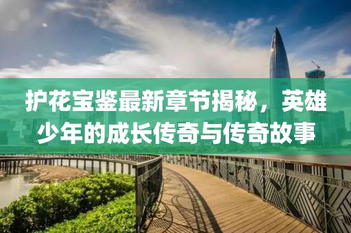 護(hù)花寶鑒最新章節(jié)揭秘,英雄少年的成長傳奇與傳奇故事