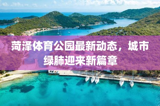 菏澤體育公園最新動態，城市綠肺迎來新篇章