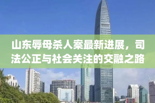 山東辱母殺人案最新進展,司法公正與社會關注的交融之路