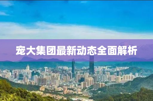 寵大集團(tuán)最新動(dòng)態(tài)全面解析