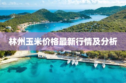 林州玉米價格最新行情及分析