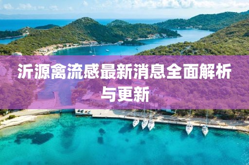 沂源禽流感最新消息全面解析與更新