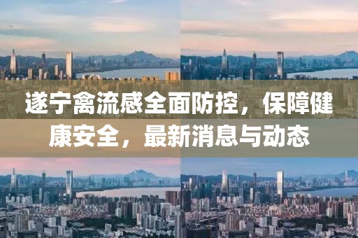 遂寧禽流感全面防控，保障健康安全，最新消息與動態
