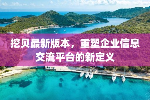 挖貝最新版本,重塑企業信息交流平臺的新定義
