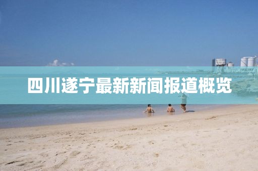 四川遂寧最新新聞報道概覽