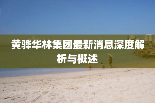 黃驊華林集團(tuán)最新消息深度解析與概述