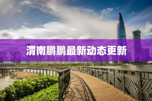 渭南鵬鵬最新動(dòng)態(tài)更新