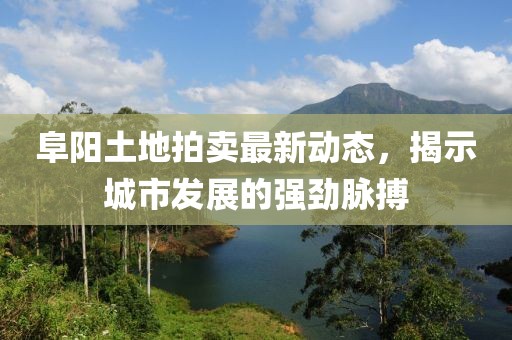 阜陽土地拍賣最新動態(tài),揭示城市發(fā)展的強勁脈搏