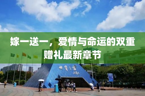 嫁一送一,愛情與命運的雙重贈禮最新章節