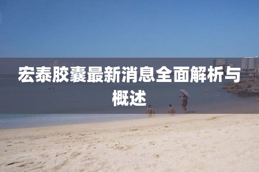 宏泰膠囊最新消息全面解析與概述
