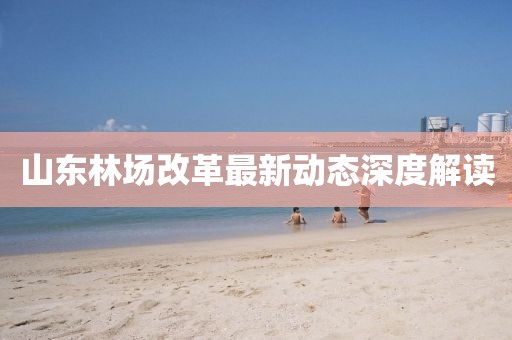 山東林場(chǎng)改革最新動(dòng)態(tài)深度解讀