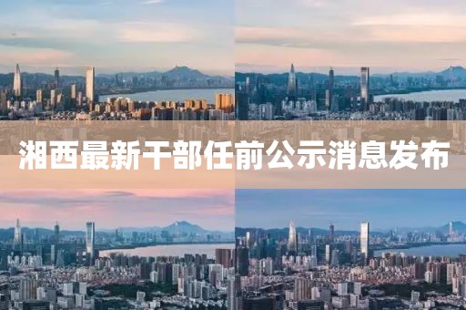 湘西最新干部任前公示消息發布