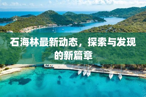 石海林最新動(dòng)態(tài),探索與發(fā)現(xiàn)的新篇章