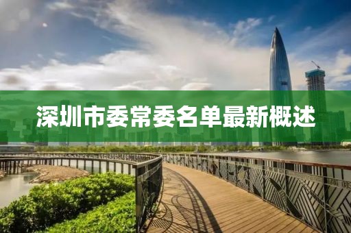 深圳市委常委名單最新概述