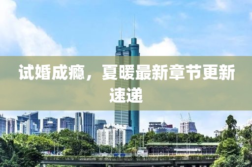 試婚成癮，夏暖最新章節更新速遞