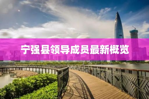 寧強縣領導成員最新概覽