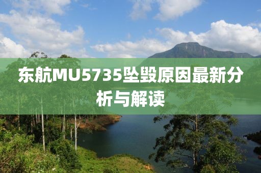 東航MU5735墜毀原因最新分析與解讀