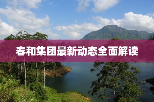 春和集團最新動態全面解讀