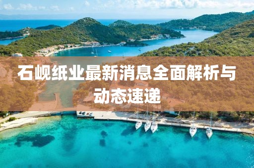 石峴紙業最新消息全面解析與動態速遞