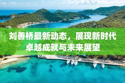 劉善橋最新動態,展現新時代卓越成就與未來展望