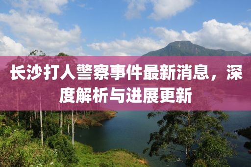 長沙打人警察事件最新消息,深度解析與進展更新