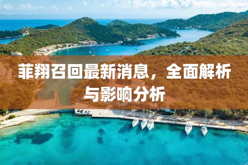 菲翔召回最新消息,全面解析與影響分析