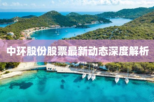 中環(huán)股份股票最新動(dòng)態(tài)深度解析