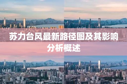 蘇力臺風(fēng)最新路徑圖及其影響分析概述