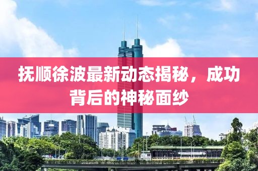 撫順徐波最新動態揭秘,成功背后的神秘面紗