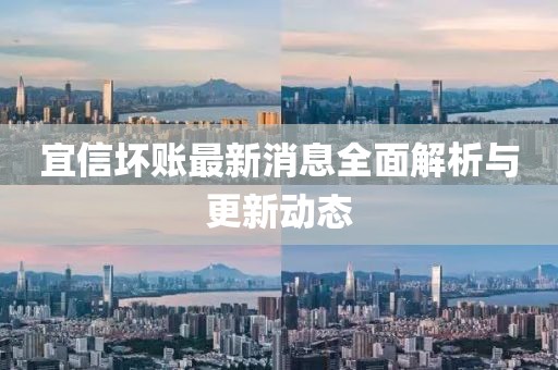 宜信壞賬最新消息全面解析與更新動態
