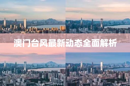 澳門臺風最新動態(tài)全面解析