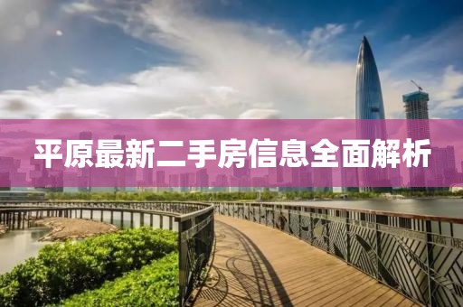 平原最新二手房信息全面解析