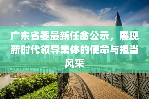 廣東省委最新任命公示,展現新時代領導集體的使命與擔當風采