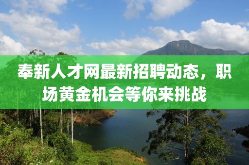 奉新人才網(wǎng)最新招聘動態(tài),職場黃金機會等你來挑戰(zhàn)