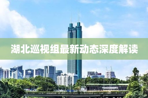 湖北巡視組最新動態(tài)深度解讀