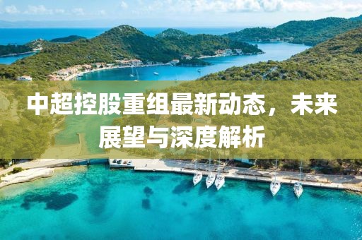 中超控股重組最新動態,未來展望與深度解析