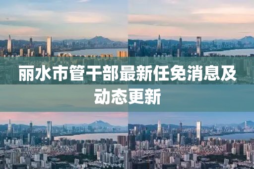 麗水市管干部最新任免消息及動態(tài)更新