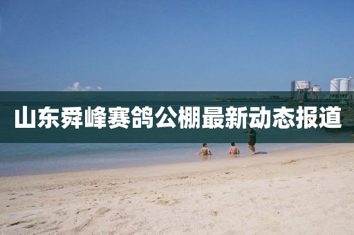 山東舜峰賽鴿公棚最新動態報道