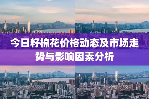 今日籽棉花價格動態及市場走勢與影響因素分析