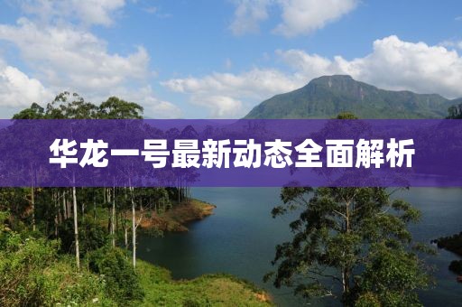 華龍一號最新動態全面解析