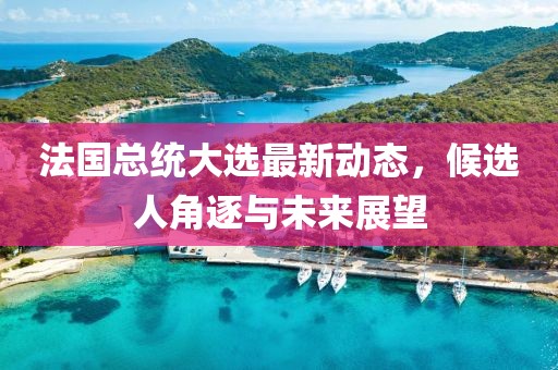 法國總統(tǒng)大選最新動態(tài)，候選人角逐與未來展望