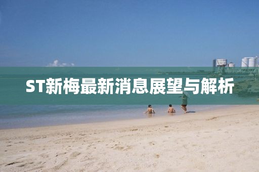 ST新梅最新消息展望與解析