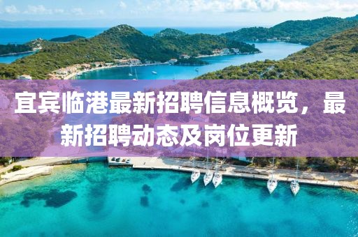 宜賓臨港最新招聘信息概覽,最新招聘動(dòng)態(tài)及崗位更新
