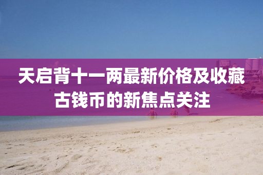 天啟背十一兩最新價格及收藏古錢幣的新焦點關(guān)注