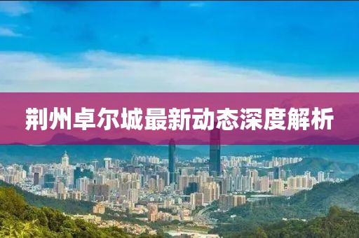 荊州卓爾城最新動態深度解析