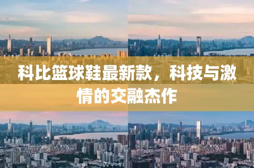 科比籃球鞋最新款,科技與激情的交融杰作