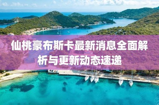 仙桃豪布斯卡最新消息全面解析與更新動(dòng)態(tài)速遞