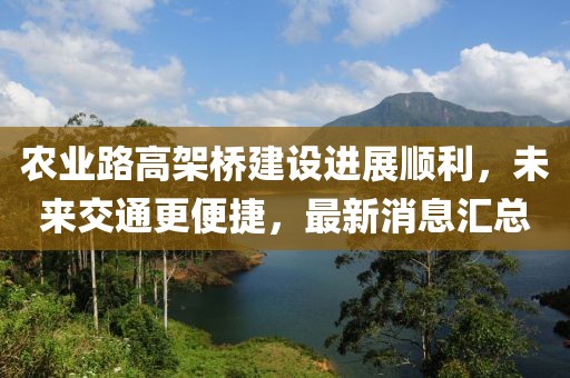 農業路高架橋建設進展順利,未來交通更便捷,最新消息匯總