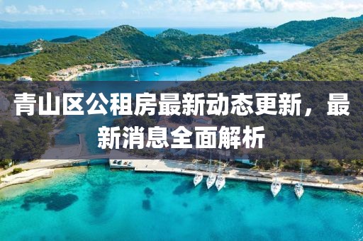 青山區公租房最新動態更新,最新消息全面解析