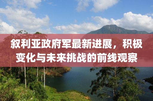 敘利亞政府軍最新進(jìn)展,積極變化與未來挑戰(zhàn)的前線觀察
